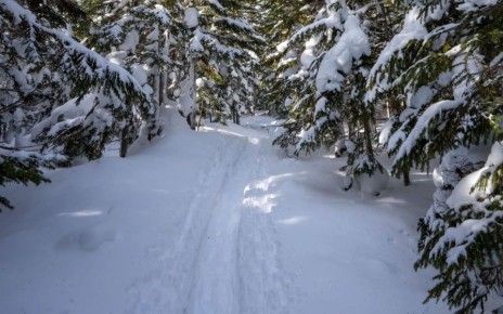 ��� �������� ���������� � �������� �� �����