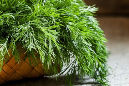 ��������� ������ ��������� �����: ������������� � �������� � �����