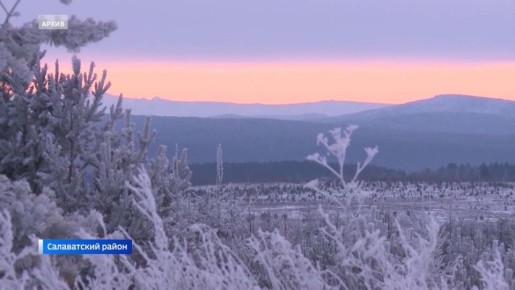 ��� ������� � -25: ��������� ���� ������� ������ � ��������