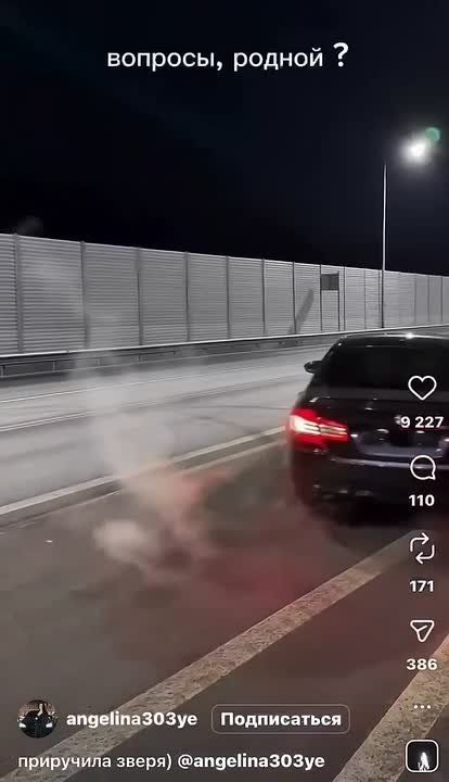 � ��� ��������� ������������ �� BMW, �� ����� ������� ����� 120 �������