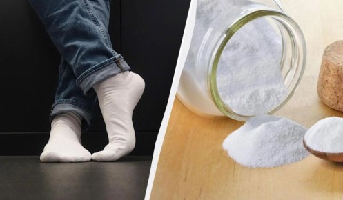 ��� ������� ������� ����� ������: �������, ������� ��������