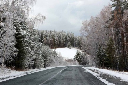 �� ������ ������������, 12 ������� �� ���������� ���������� ��������� �������� ������ � ������������