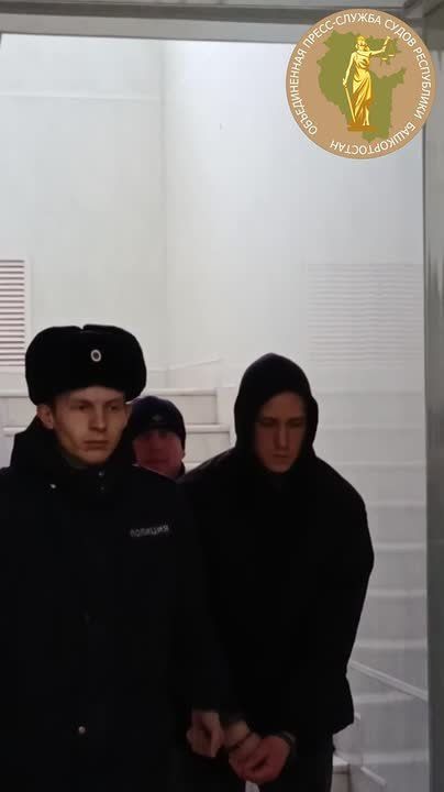 Сын зарубил топором и расчленил мать в Кумертау