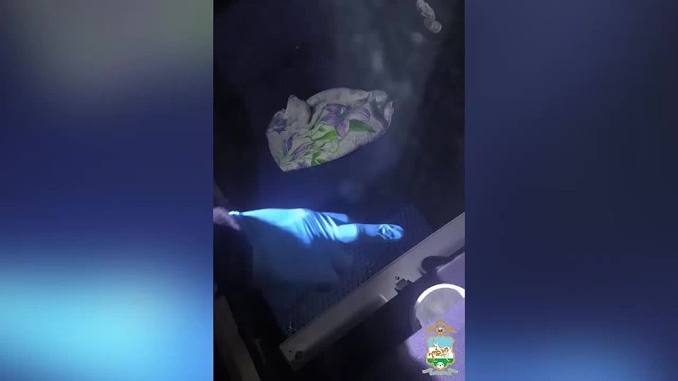 Кайфожор с сайта знакомств заставил несовершеннолетнюю девушку из Уфы попробовать наркотики