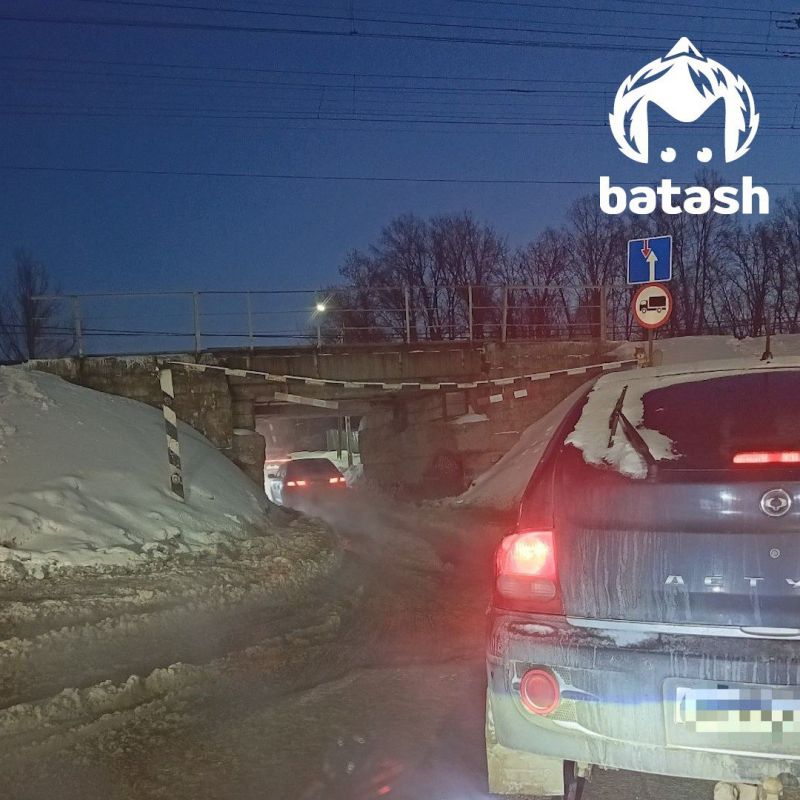 "Скотопрогон" в Шакше будут перекрывать каждый день до конца зимы