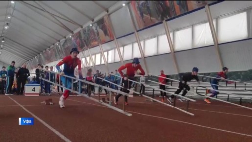 �������� � ��������: ����� 100 ���� �����������-���������� �������� �� ������������ � ���