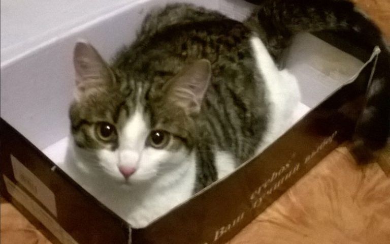 � ������ ��������� ����� ������� ��� ���������� �������� ��������