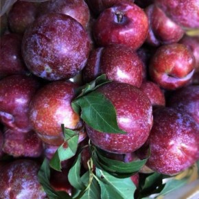 Нежный сливовый соус Ткемали: ждём сезона и готовим лакомство