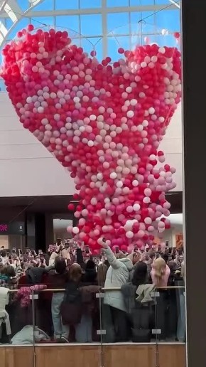 ��� �������� ���������� ��� ����� � �������� ������ � ���, ���������� ��������, �������� ����������� ��������