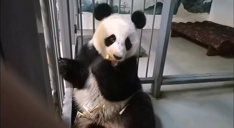 ������ �� ����������� �������� ������ ���� ���� �� ��������, �� ������� ��������� ��� ������� � ������ ��������� ���� ��������� ����������