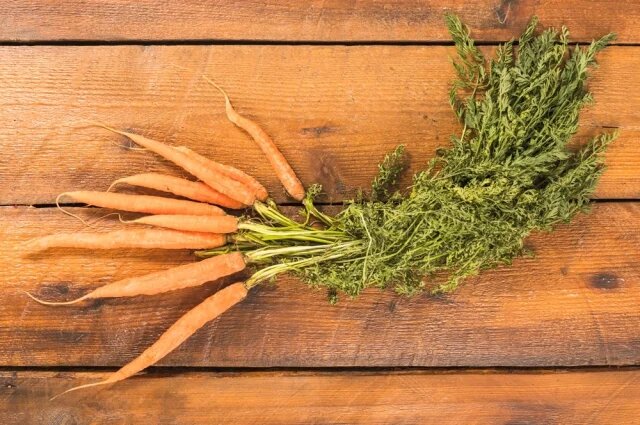 Не выбрасывайте морковную ботву: 6 простых способов использовать зелень и сэкономить
