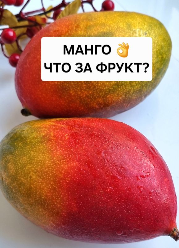 �����: �����-������ � ������� �������� � ������������ ����������