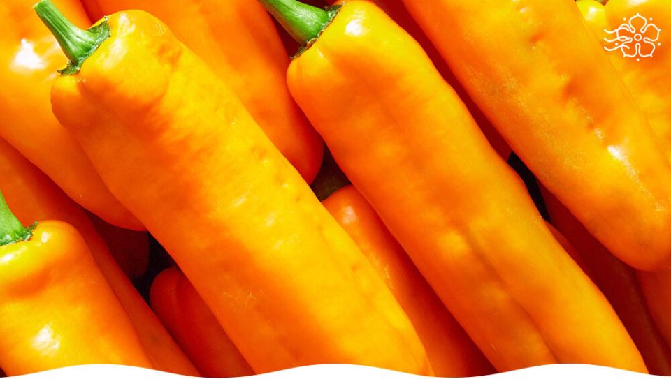 ������� ����� �������: ��������� ����� ��� ������� �������