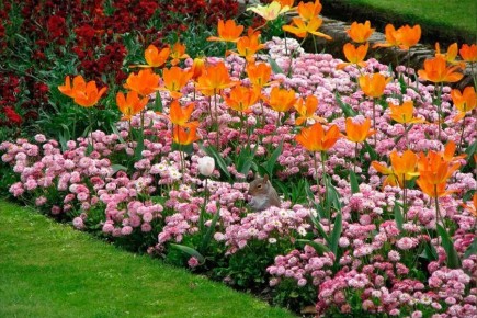 ��� ������� ��������� �������: ������� � ������ ��� ������ ����