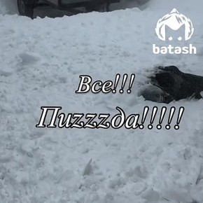 ������ ������ ������ � ������������, ����� �� ������ �����