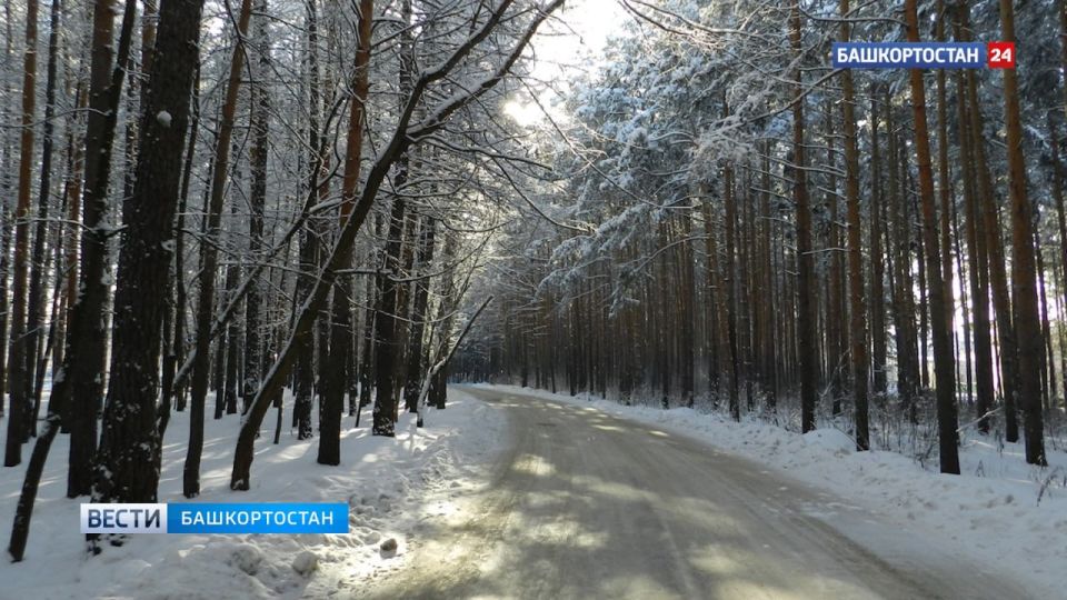 ����� �������� � �������� ������ 25-��������� �����