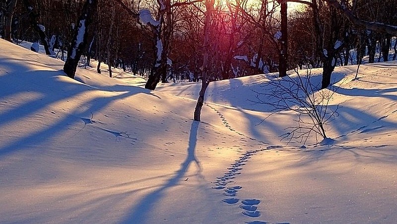 Полицейские спасли мужчину