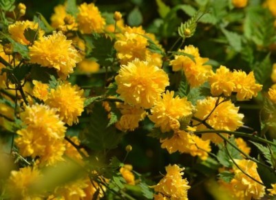 ��� ���������� ����������� � ������������� ����������� ��� �����: 7 ����� ����