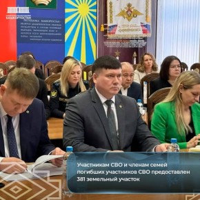 ���������� ��� � ������ ����� �������� ���������� ��� ������������ 381 ��������� �������