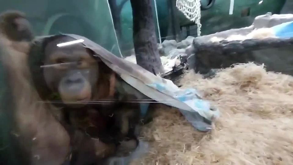 ����� ������ ������ ���� ������� ���� � ���������� �������