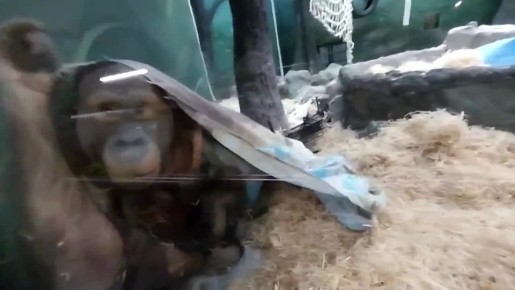 ����� ������ ������ ���� ������� ���� � ���������� �������