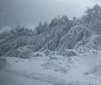 �� ������ ������������, 21 ������� �� ���������� ���������� ��������� �������� ������ � ������������