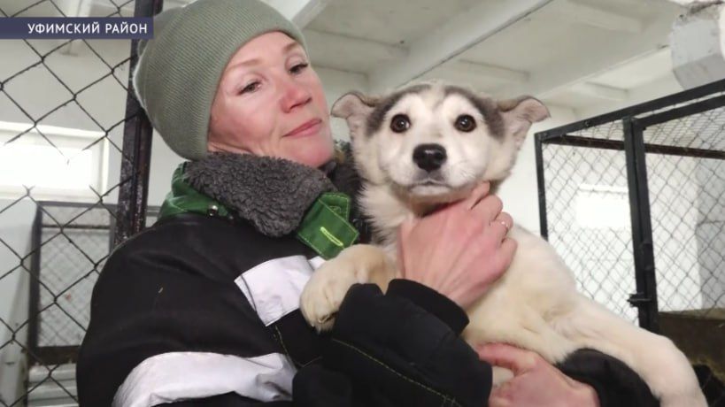 � �������� ������ ������ ������� �����