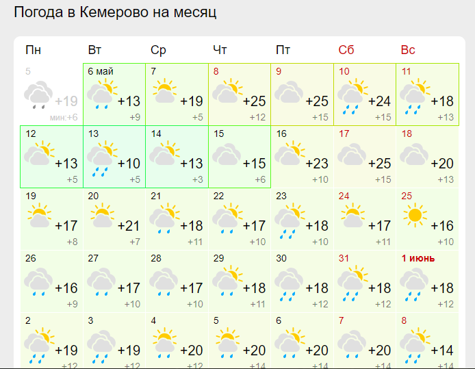 Когда высаживать капусту в открытый грунт: советы по подготовке грядки