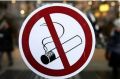 В России с 1 марта 2036 года будут без судебного решения блокировать сайты с продажей табачной продукции, кальянов и электронных устройств наподобие IQOS, согласно документу правительства