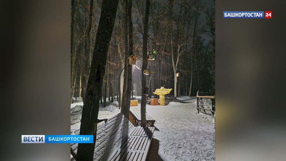 ����� � �������� ���������� �� -26