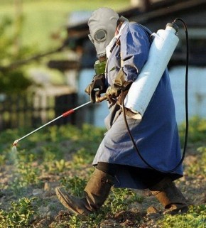Почему сосед-садовод может оказаться вашим лучшим другом