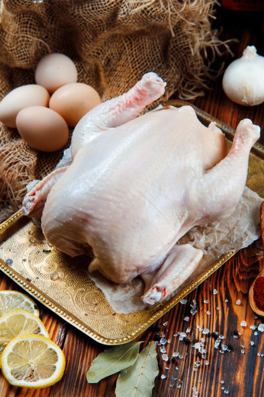 ���� ���� ��� �������� �����: ��������� ������ �������