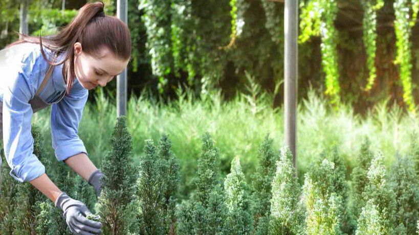 ��� � ��������� ���� ��� ��-�� ����� ������