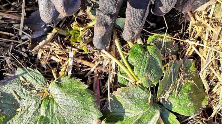 ��������� � �������: ���������� ��������� � ������ �������