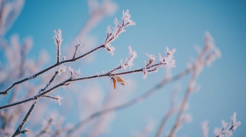 ������ � �������� ��������� ������� �� �������