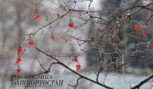 По данным Башгидромета, 23 февраля на территории республики ожидается облачная погода с прояснениями