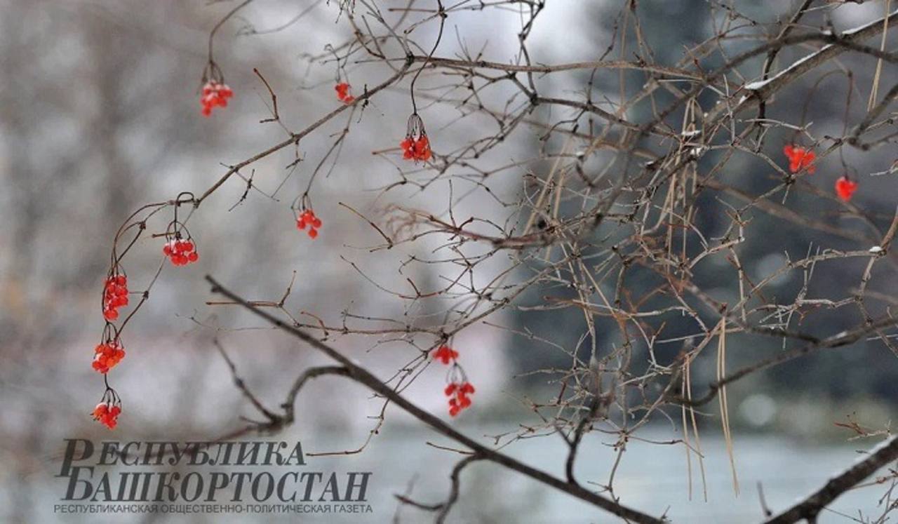 По данным Башгидромета, 23 февраля на территории республики ожидается облачная погода с прояснениями