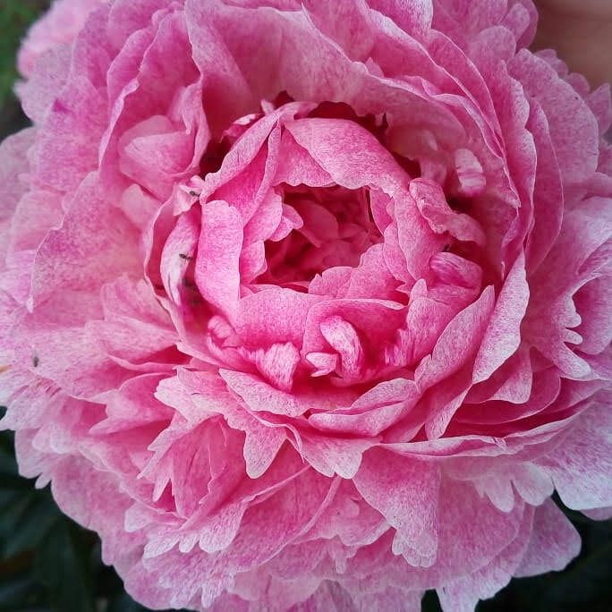 ��� ������� ��������: �������� ��� ���� ������� �������