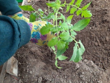 ��� ������, ������ �� ����� � �������: ������ ��� ���������