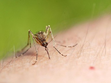 ����������� ������: ��� ���������� ���� � ������ ���� ��� �������