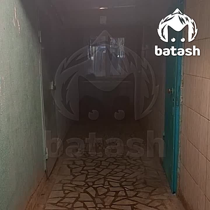 ���� ������ ����� �� ������� ��������