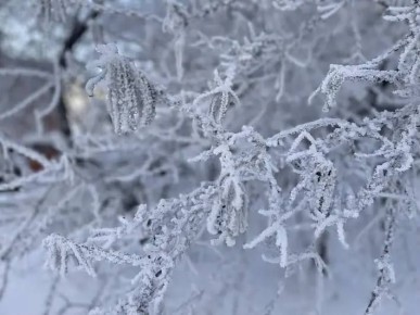 �� ������ ������������, 24 ������� �� ���������� ���������� ��������� ���������� ����������