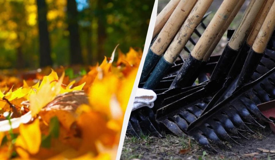 ������ ������� ������ ����� ��������: ������ ���������