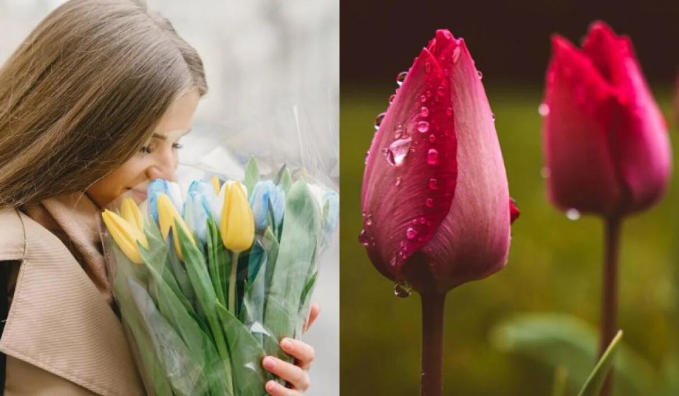 ��� �������� ����� ��������� � ����: ������ ��������������