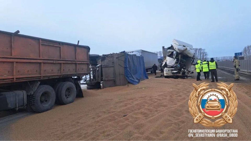 � ��������������� ������ ���������������� �������-������������ ������������ � ��������