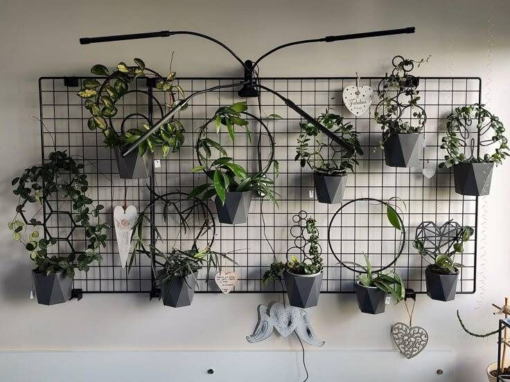 ���������� ���� ��� ����������: ��� ������� ��� ��� ����������