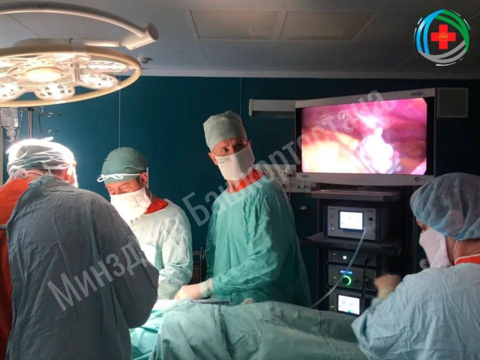 � ������� �������� �������� �17 ����� ������� �������� �� �������� ������� ����� � ���������