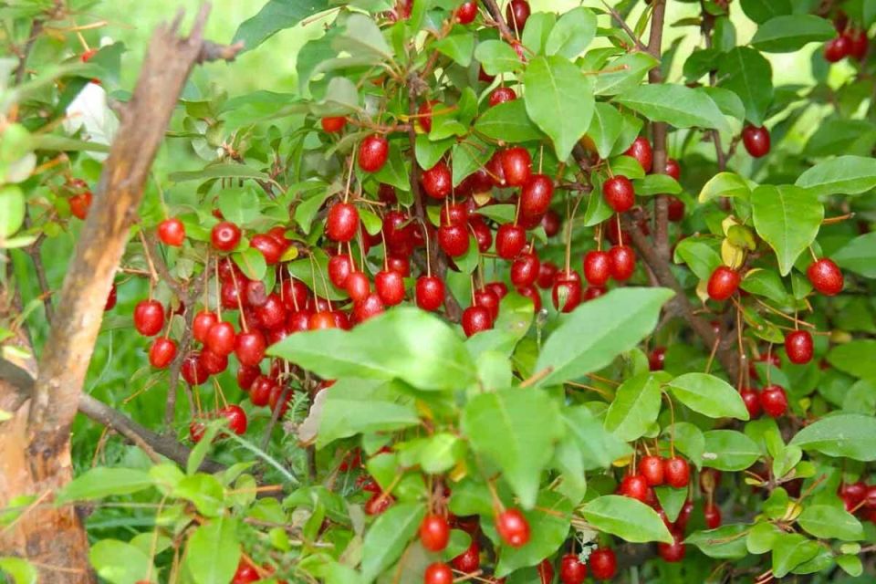 ����: ����� ����� � ���� ����