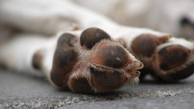 � ��� �������� 6 �������. ��������� ���������� ����������� ������ ������� ��������� � ������� ��������� �������� �����