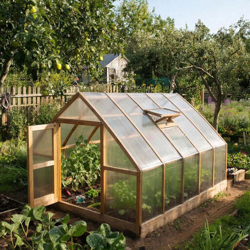 �����-������������: ��� ��������� ����� ��������� ������� �� ����������